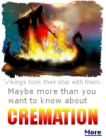 Funeral directors advise clients that cremation is an ''irreversable process'', and DNA and other testing later on, for things like poison, is not possible. Really?